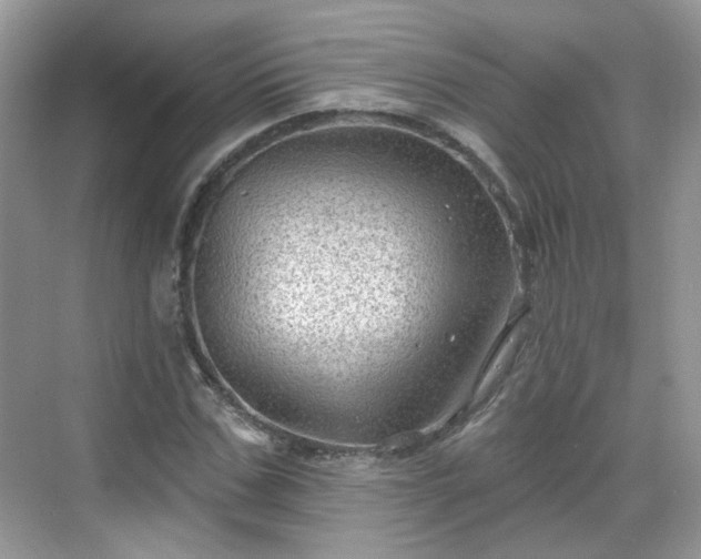 X0000068720971200605051429