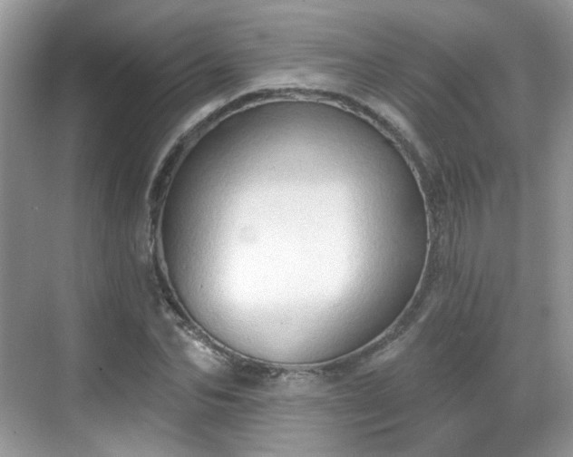 X0000068720974200605051429