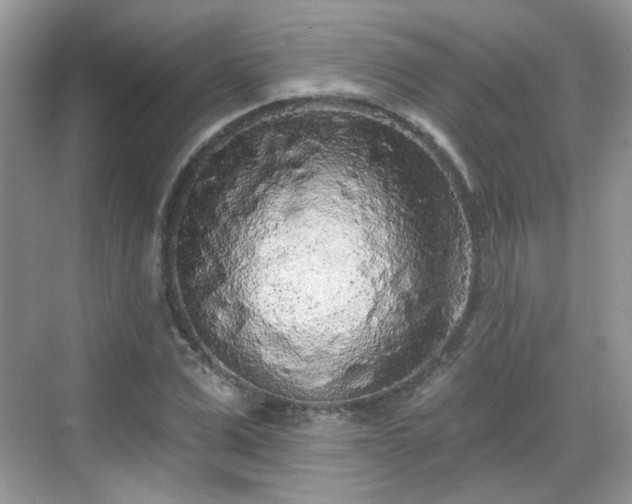 X0000068720975200605051429