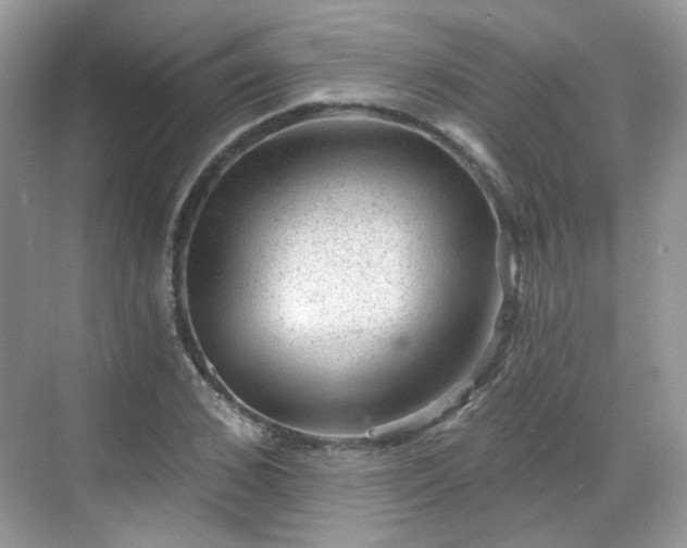 X0000068720976200605051429