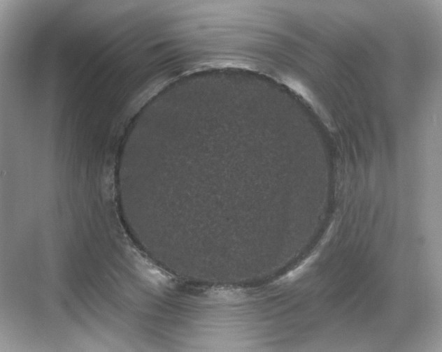 X0000068720977200605051429