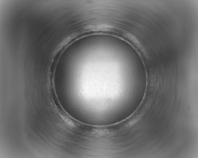 X0000068720978200605051429