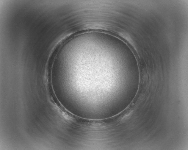 X0000068720979200605051429