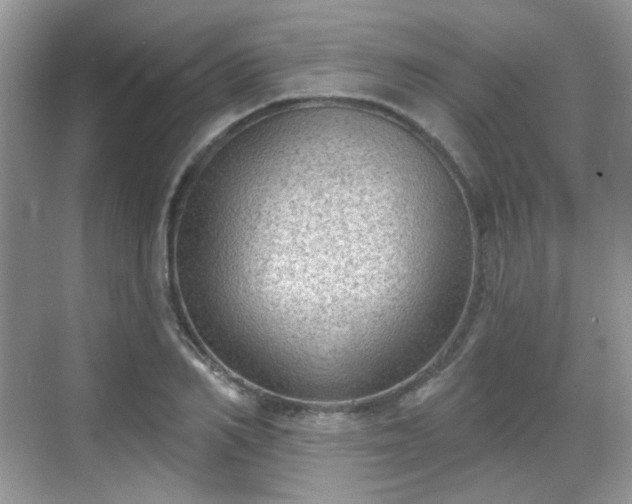 X0000068720982200605051428