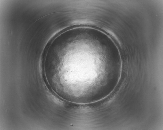 X0000068720983200605051428