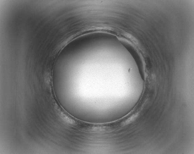 X0000068720985200605051428