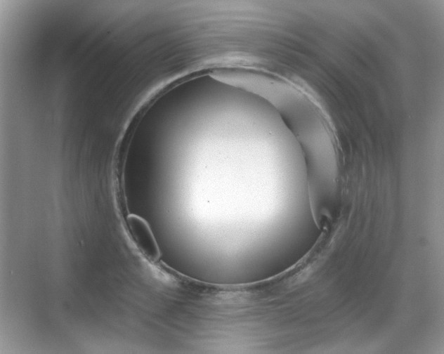 X0000068720989200605051428