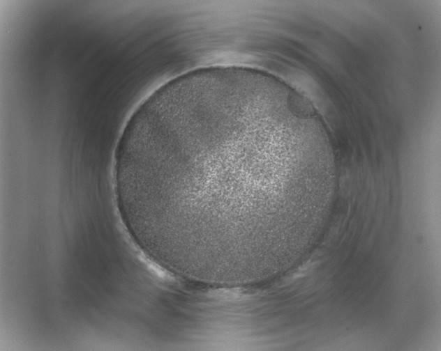 X0000068720990200605051428