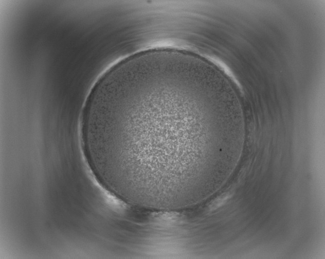 X0000068720991200605051428