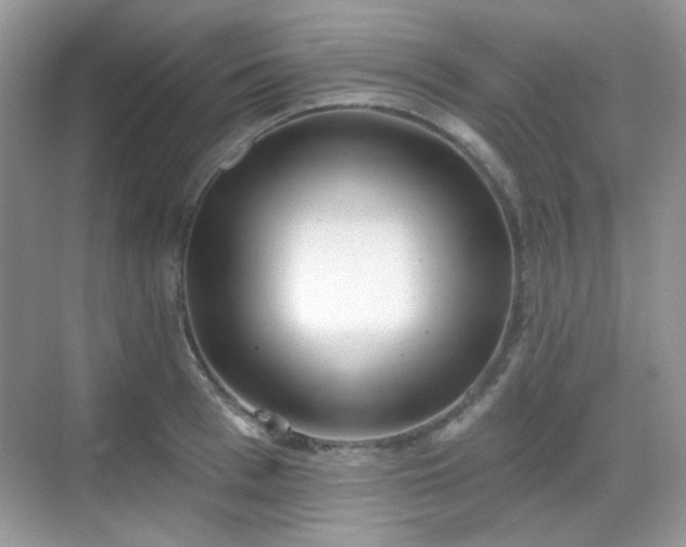 X0000068720993200605051428