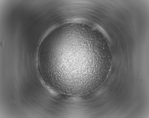 X0000068720994200605051428