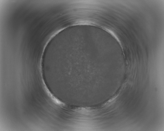 X0000068720995200605051428