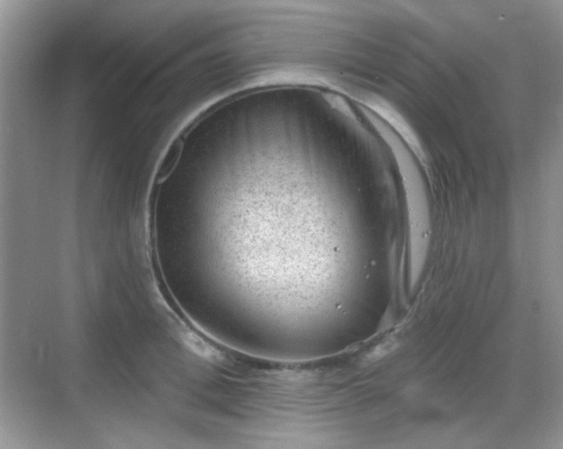 X0000068720996200605051428