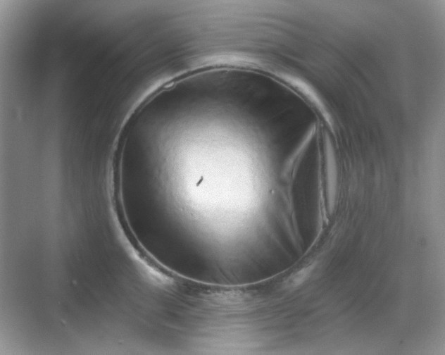 X0000068720999200605051428