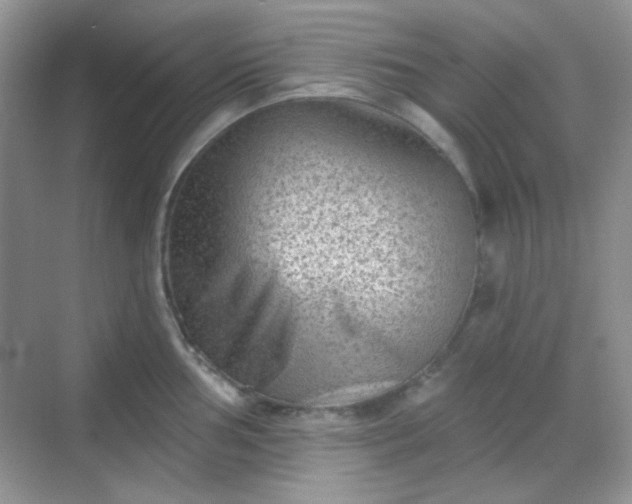 X0000068721002200605051428