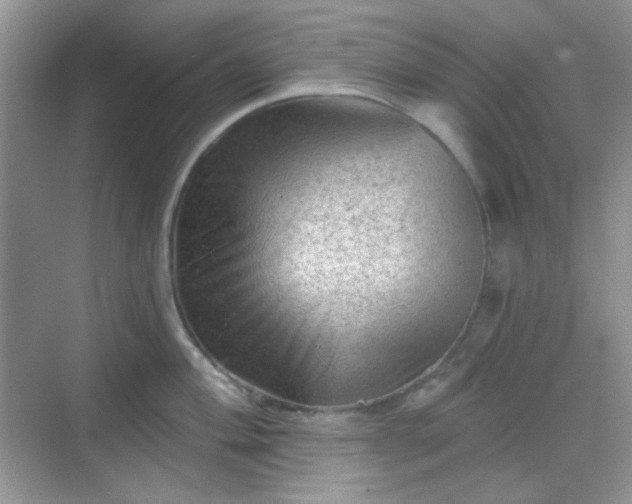 X0000068721004200605051428