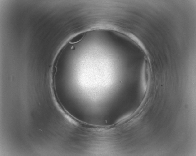 X0000068721005200605051428