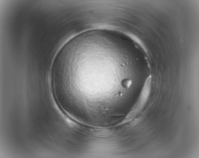 X0000068721007200605051428