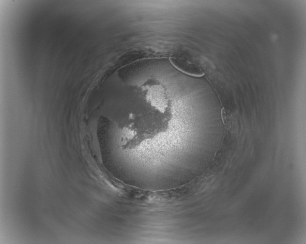 X0000068721009200605051427