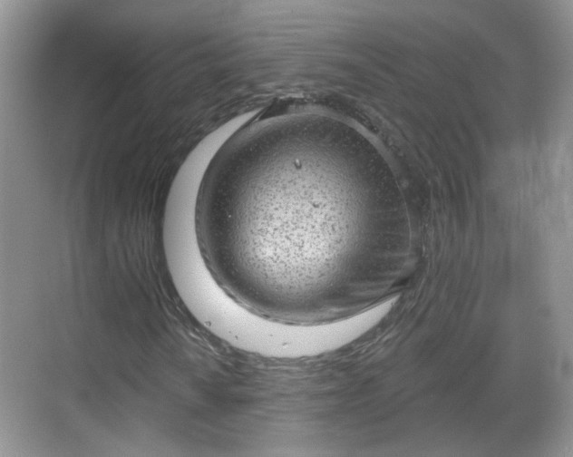 X0000068721010200605051427