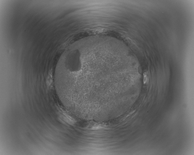 X0000068721011200605051427