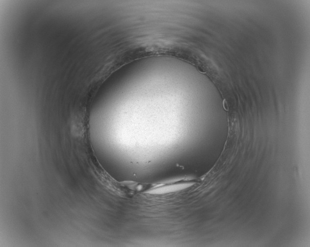 X0000068721012200605051427