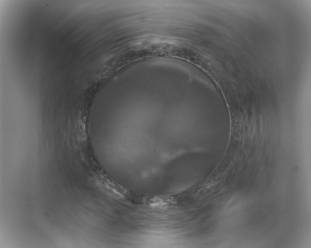 X0000068721013200605051427