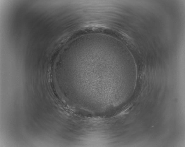 X0000068721014200605051427