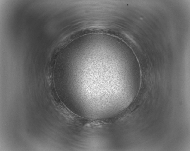 X0000068721015200605051427