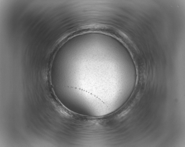 X0000068721017200605051427