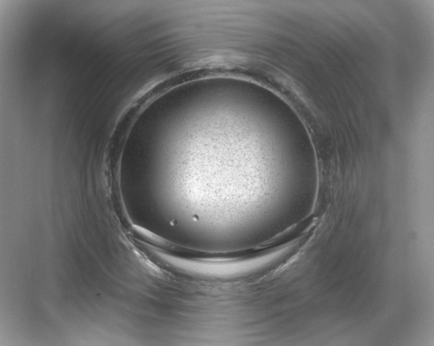 X0000068721018200605051427