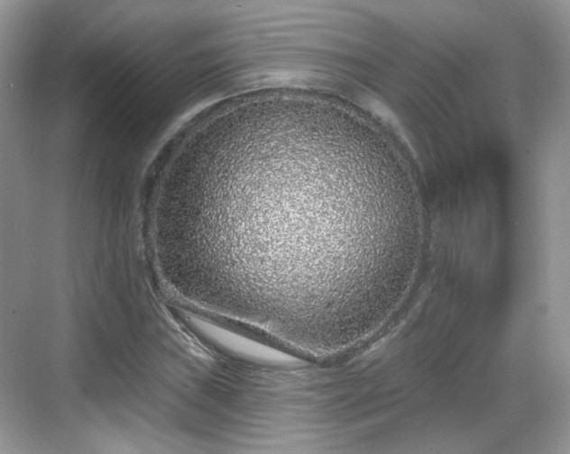 X0000068721019200605051427