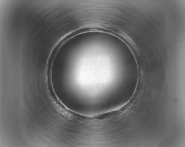 X0000068721020200605051427