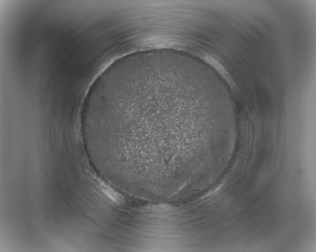 X0000068721023200605051427