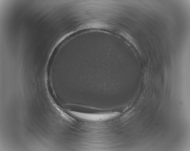 X0000068721024200605051427