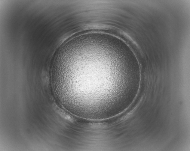 X0000068721025200605051427