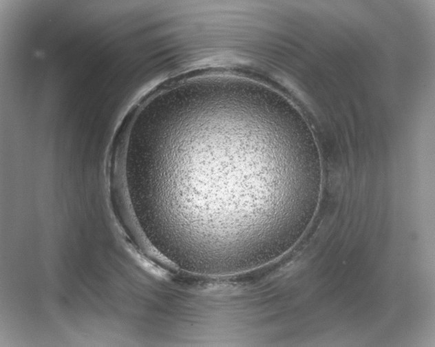 X0000068721026200605051427