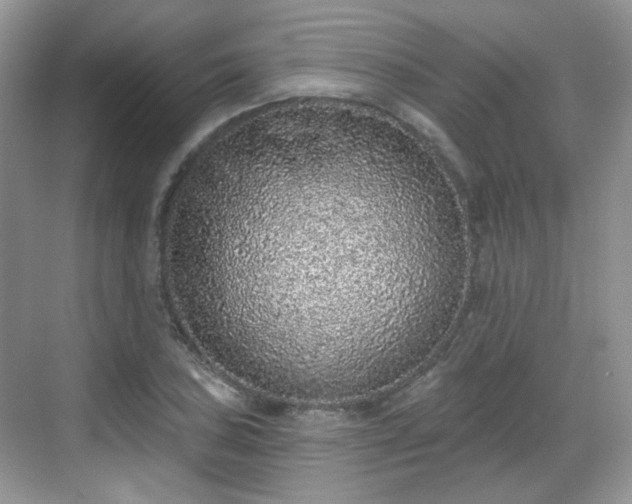 X0000068721027200605051428