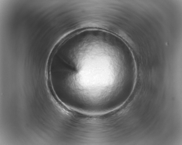 X0000068721028200605051428