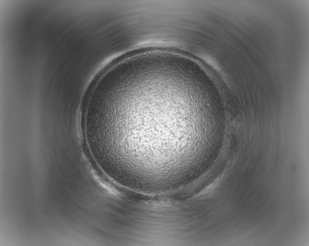 X0000068721030200605051428