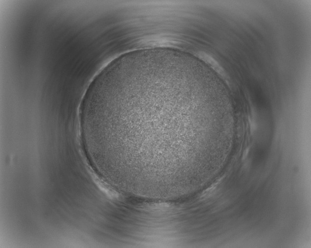 X0000068721031200605051428