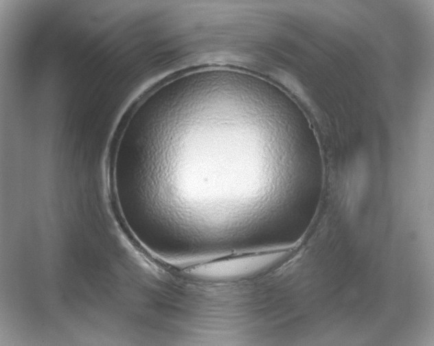 X0000068721032200605051428