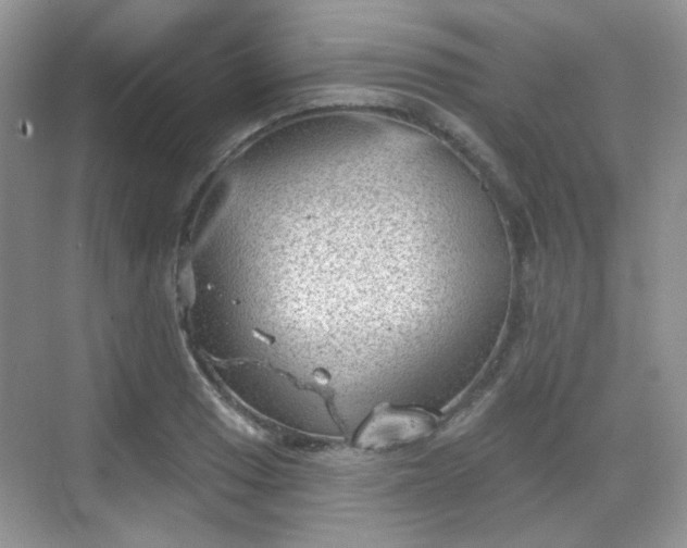 X0000068721033200605051428