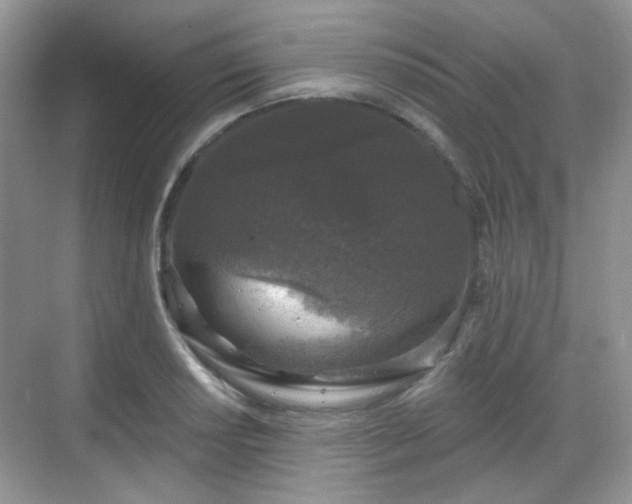 X0000068721034200605051428