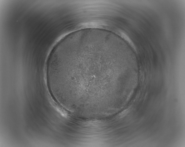 X0000068721035200605051428