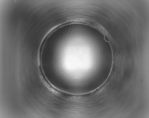 X0000068721036200605051428