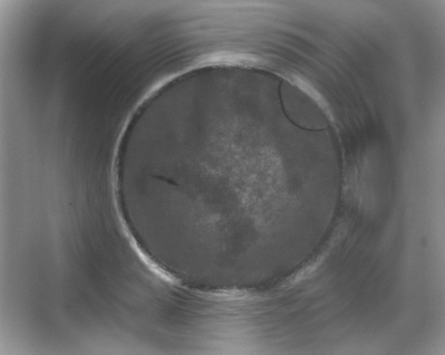 X0000068721037200605051428