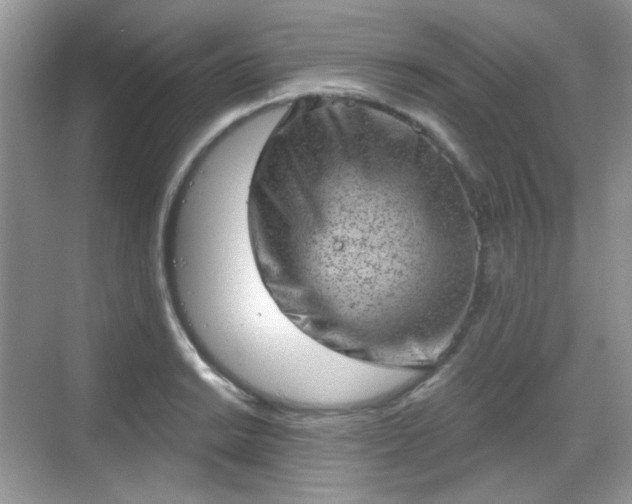 X0000068721038200605051428