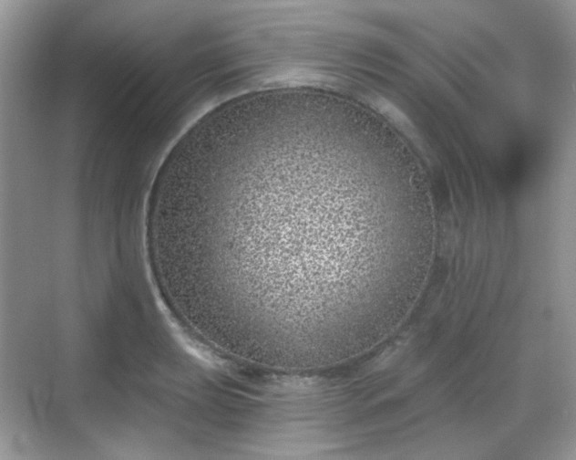 X0000068721039200605051428