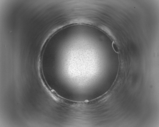 X0000068721040200605051428